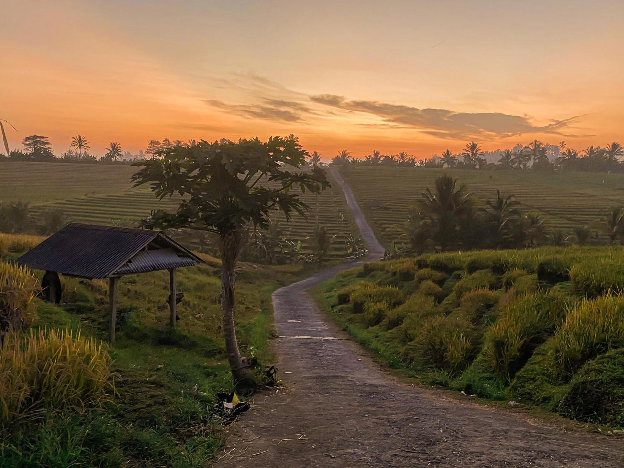 Bali Palms, Tabanan Apartment Bagian luar foto